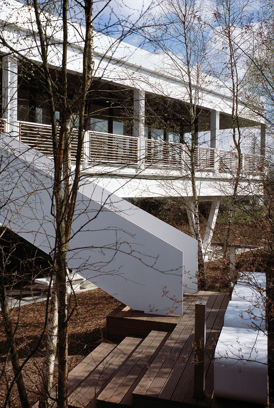 Ashfield House's cantilevered upper floors and open steel V-column support frame, seen through bare birch trees