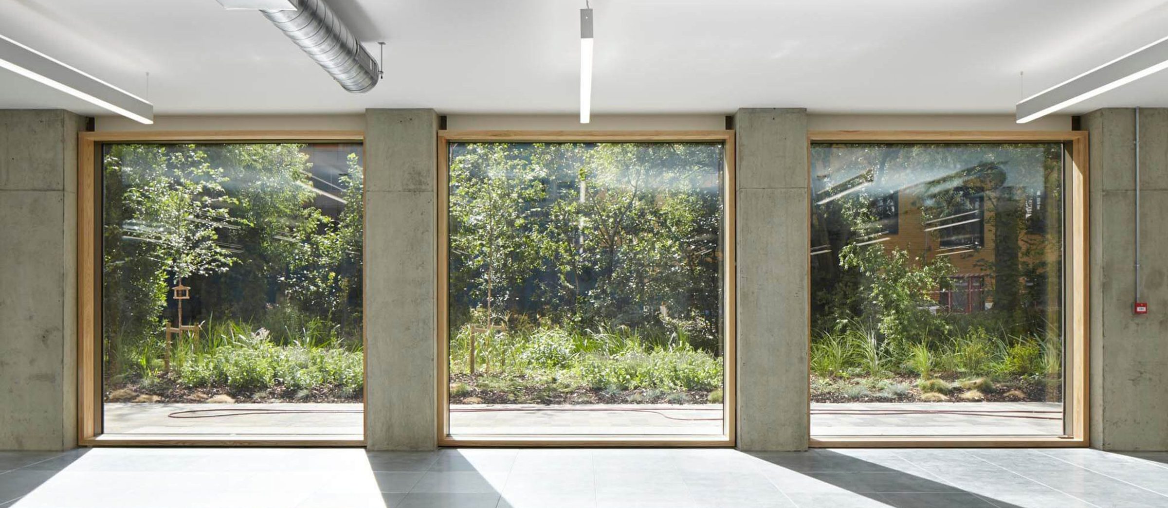 Floor-to-ceiling glazing in The Cube's ground-floor space, looking onto a landscaped courtyard