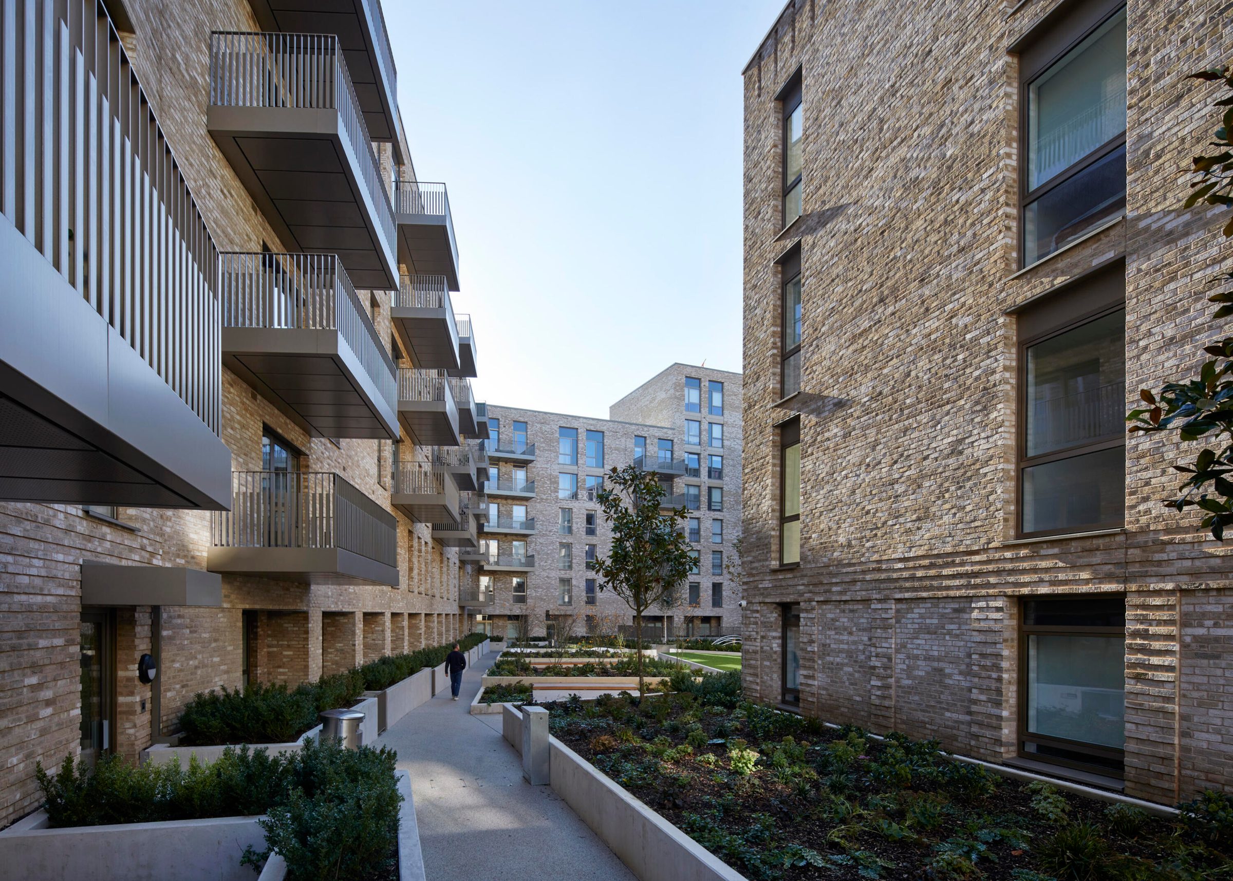 Planted courtyard between buff-brick blocks with aluminium-faced balconies and bronze aluminium panels at Unity Place, South Kilburn