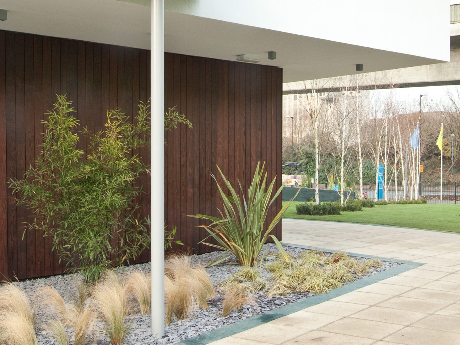 Ornamental grasses and planting at the timber-clad corner of Waterside Park's Sales & Marketing Suite, birch trees and the wider Barrier Park East site beyond
